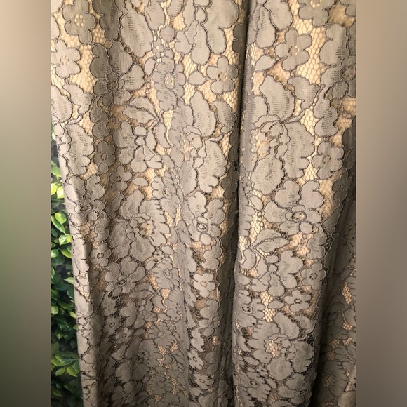 Anthropologie Feather Bone Elegant Gray Lace Pants - Picture 8 of 16